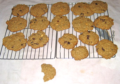 2nd_cookies.jpg