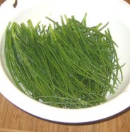 agretti.jpg