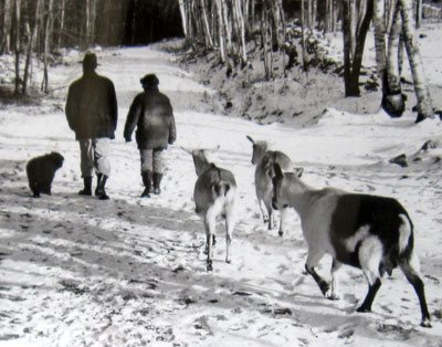 Winter Walk, Waldo County (Maine) Independent, 1992