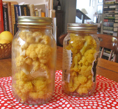 Cauliflower in jars, ready for the pickling liquid. The short jar is the blanched.