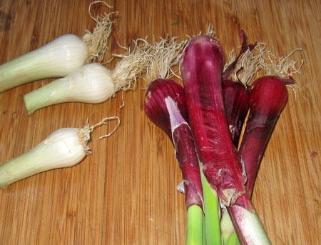 wc_spring_onions