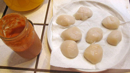w_scallops_coulis tomato coulis and fresh scallops