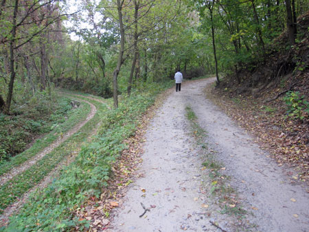 road to Natasza's dacha