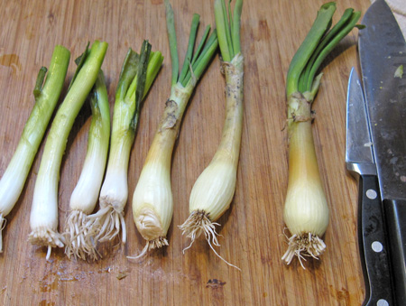pretty green onions and spring onions... use good stuff, this recipe is flexible and forgiving