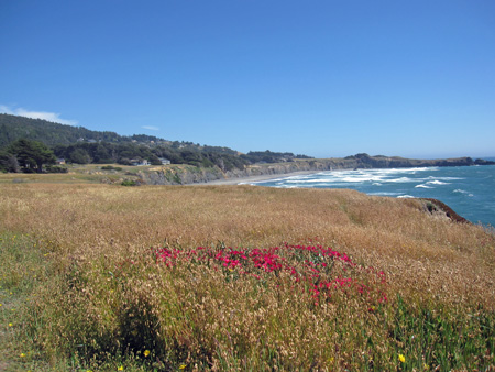 now I'm back on the bluff trail