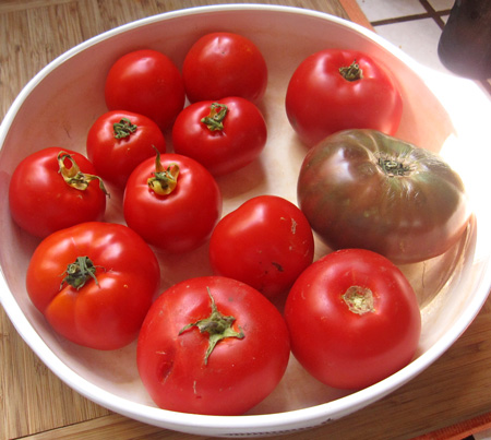 selected tomatoes in the roasting dish