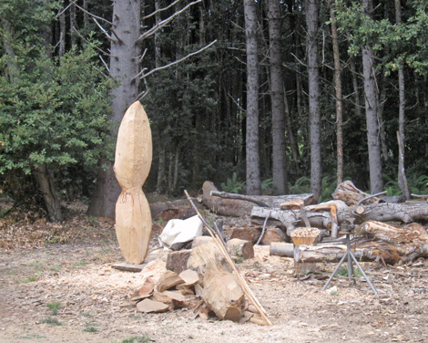 take a hunk of wood, chip away