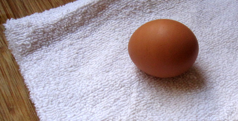 b2_egg