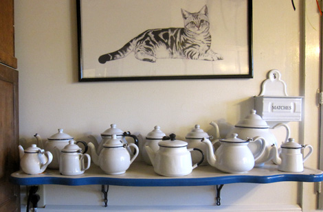 i'm a little teapot, short and stout