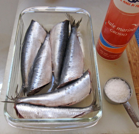 sardines ready for salting