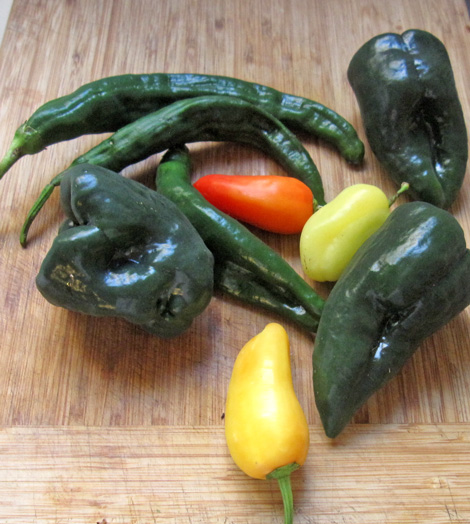 the fresh chilis for the chili