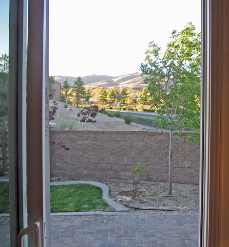 the new view out our back door...