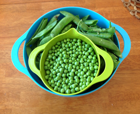 p_peas_n_pods