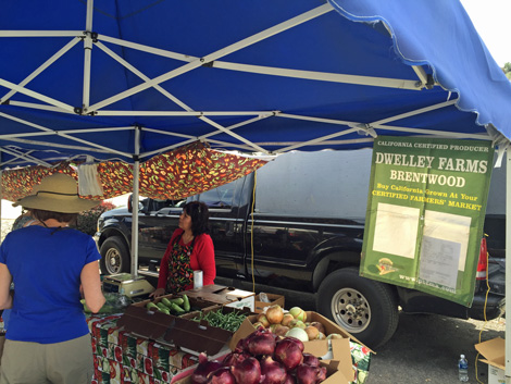 JunFM_Dwelley-Brentwood1